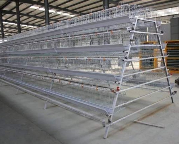 Poultry farming cage