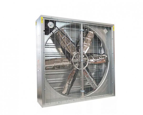 Ordinary fan