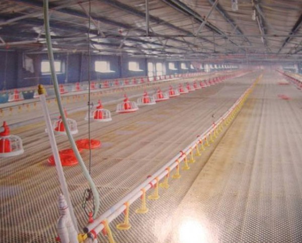 Feed line