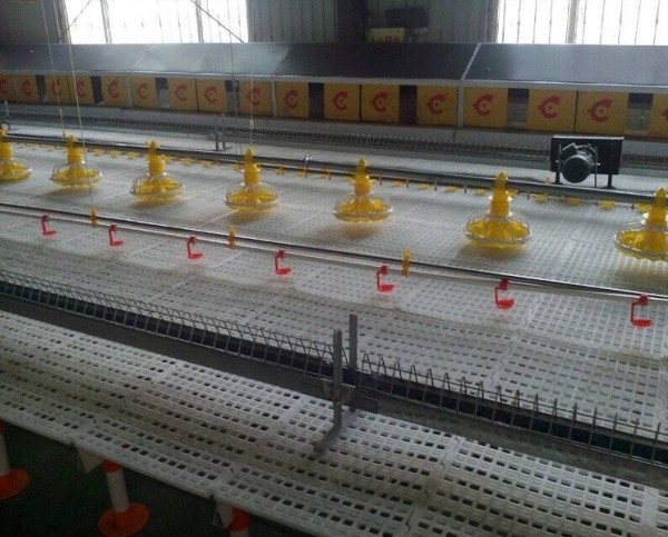 Water line
