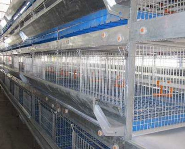 Poultry farming cage