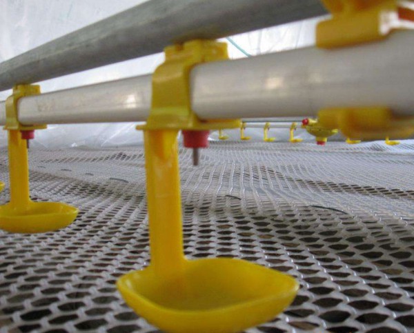 Water line